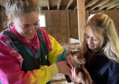 Baby horse with vet techs at Annabessacook Veterinary Clinic