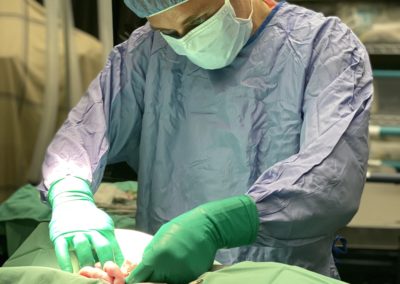 Animal surgery at Annabessacook Veterinary Clinic